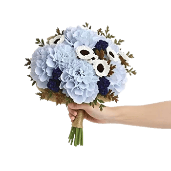 Serene Petal Harmony