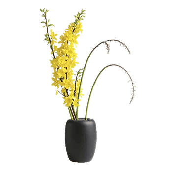 Ivory Blossom Radiance