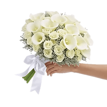 Delicate Petal Cascade