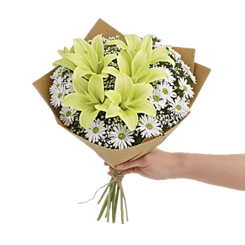 Blossom Harmony Display