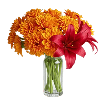 Petal Radiance Bliss