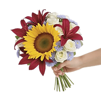 Twinkling Sunflower Dance