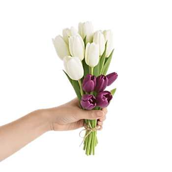 Velvet Tulip Display