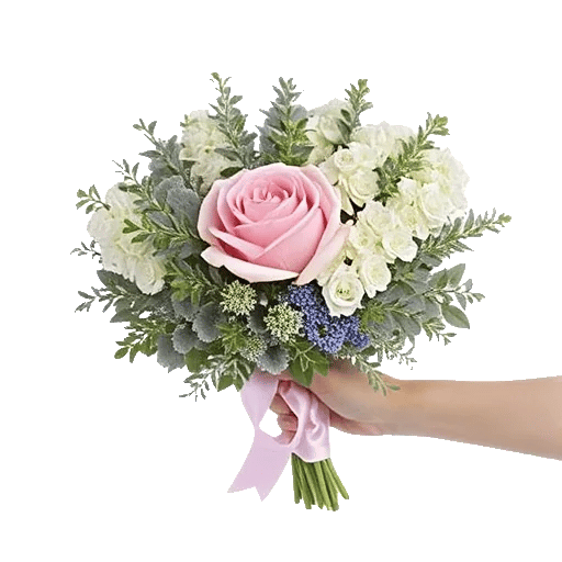 Blushing Rose Symphony