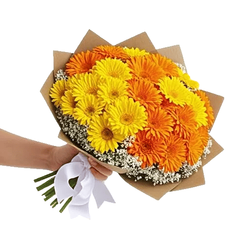 Golden Petal Harmony