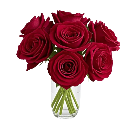 Crimson Rose Elegance