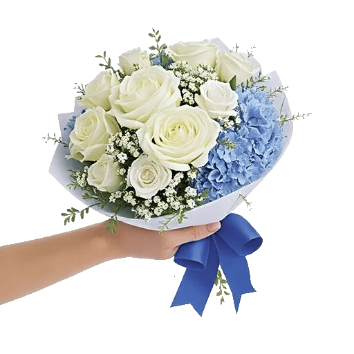 Serene Petal Harmony