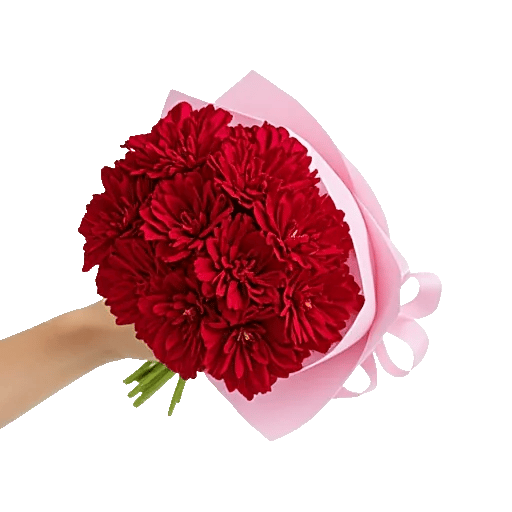 Crimson Rose Elegance