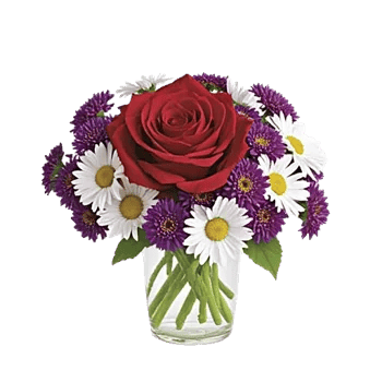 Crimson Rose Elegance