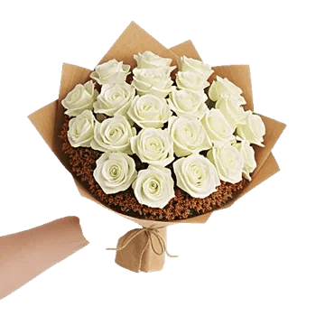 Blushing Rose Symphony