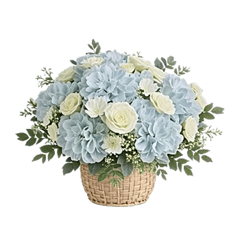 Serene Petal Harmony