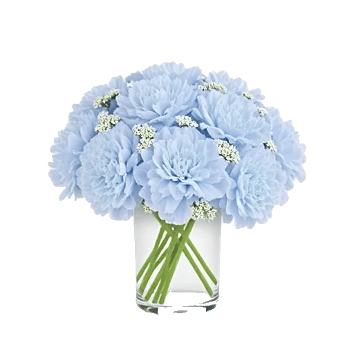 Delicate Petal Cascade