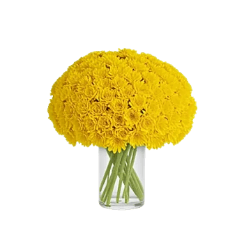 Radiant Bloom Cascade