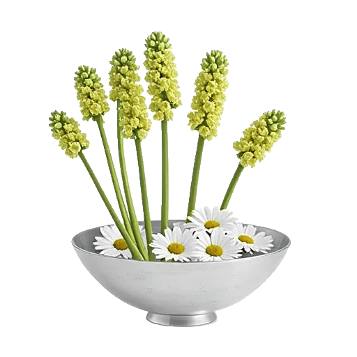 Ivory Blossom Radiance