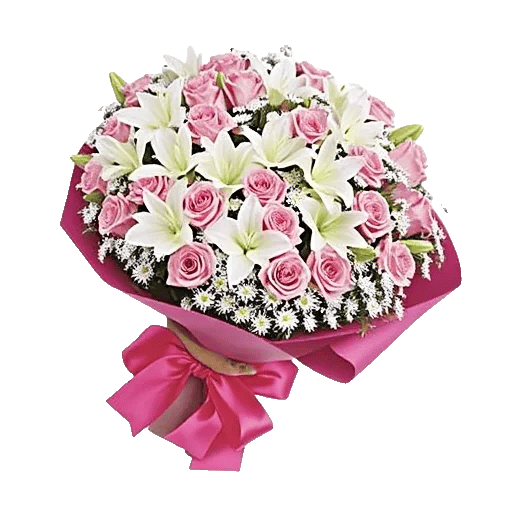 Blushing Rose Symphony