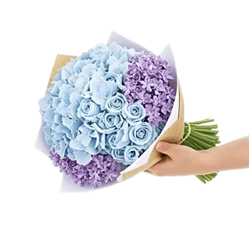 Serene Petal Harmony