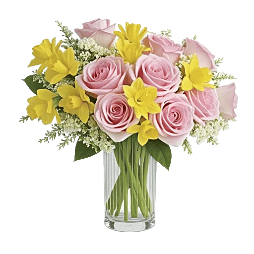 Radiant Rose Symphony