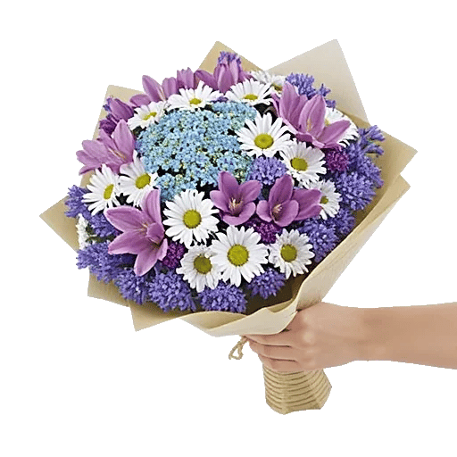 Serene Petal Harmony