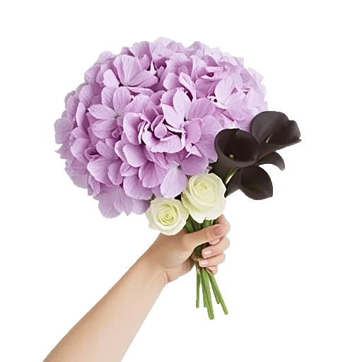 Lavender Bloom Grace