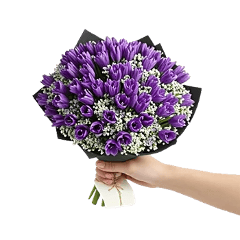 Pastel Blossom Grace