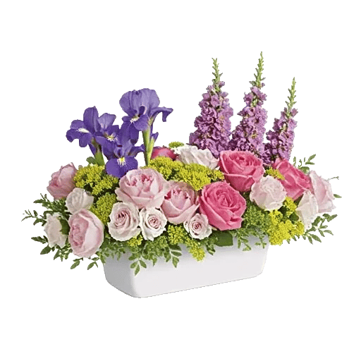 Ivory Blossom Radiance