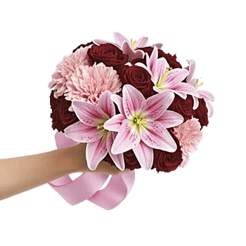 Blushing Rose Symphony