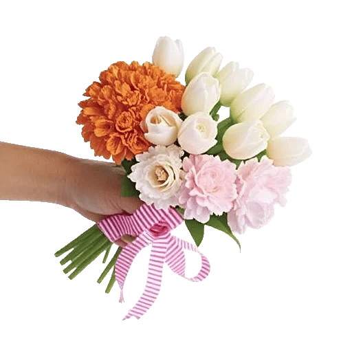 Vibrant Orange Delight