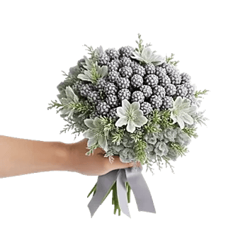 Blossom Petal Serenity