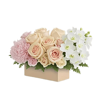 Delicate Petal Cascade