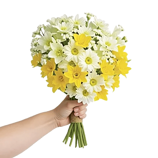 Blossom Harmony Display