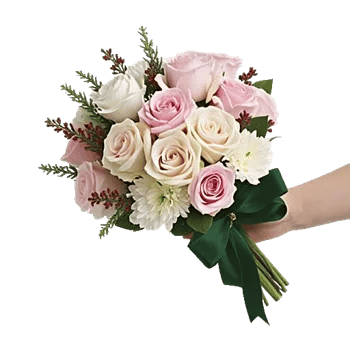 Pastel Pink Roses