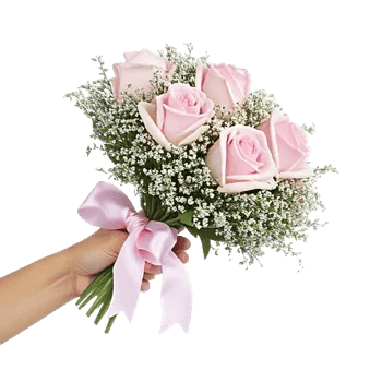 Pastel Pink Roses