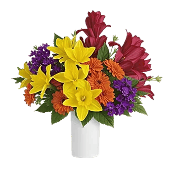 Petal Radiance Bliss