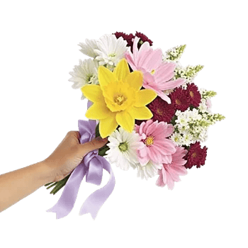 Blossom Harmony Display