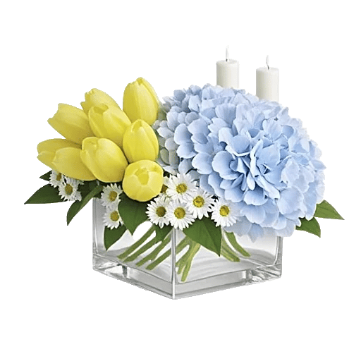 Serene Petal Harmony