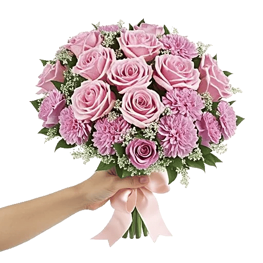 Pastel Pink Roses