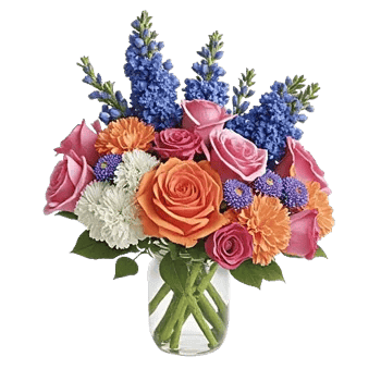 Petal Radiance Bliss