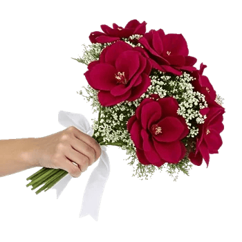 Crimson Rose Elegance