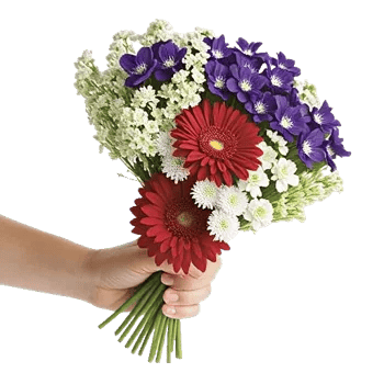 Blossom Harmony Display