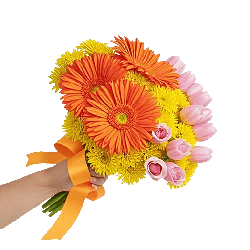 Petal Harmony Bliss