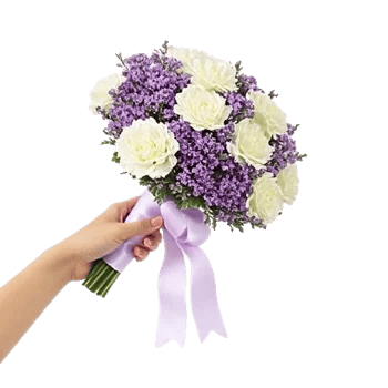 Pastel Pink Roses