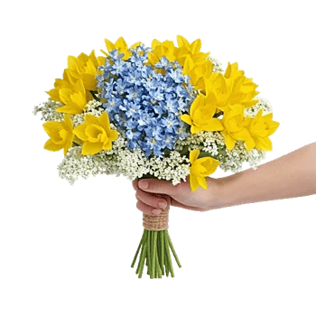 Blossom Harmony Display