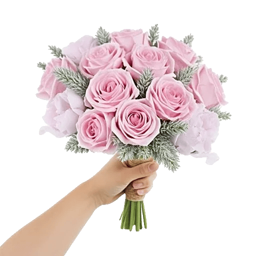 Pastel Pink Roses