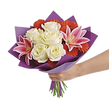 Petal Harmony Bliss