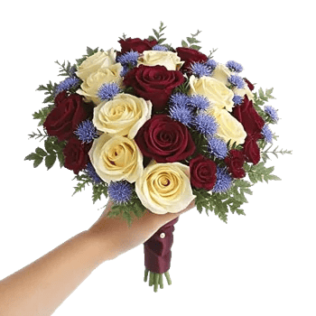Crimson Rose Elegance