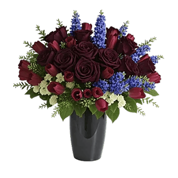 Velvet Tulip Display