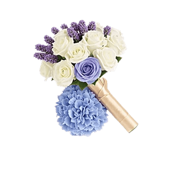 Serene Petal Harmony