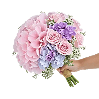 Serene Petal Harmony