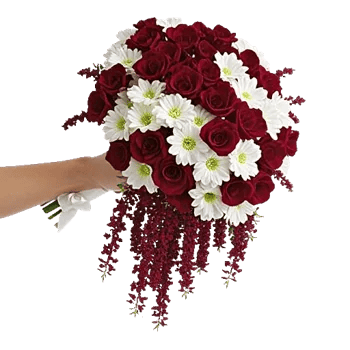 Delicate Petal Cascade