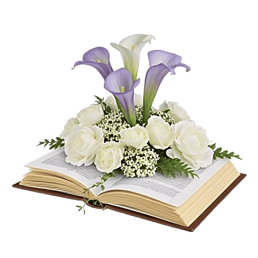 Elegant Calla Lilies